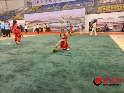 传统游戏项目,揭秘传统游戏项目的魅力与变革