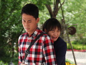 爱情最美丽 电视剧,浪漫邂逅，谱写人生华章