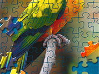 中国行政区拼图游戏,行政区拼图游戏之旅