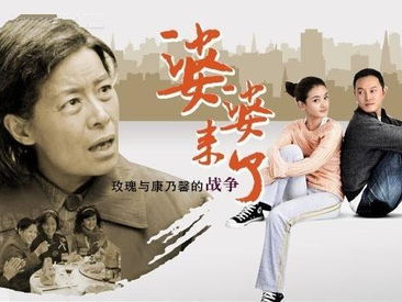 婆婆来了电视剧,婆媳关系新解，家庭和谐之道