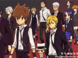 家庭教师pc游戏,传承与荣耀——经典游戏重燃战火