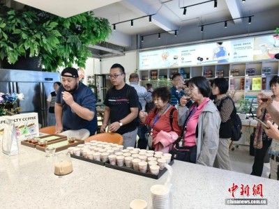 台胞组团考察云南咖啡产业：咖香带来真情、惊喜与共赢