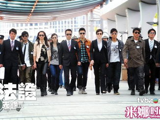 法证先锋3粤语,揭秘罪案背后的真相，法医与警探的智慧较量