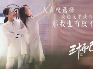 三十而已全集免费观看完整版,揭秘都市女性的成长与蜕变