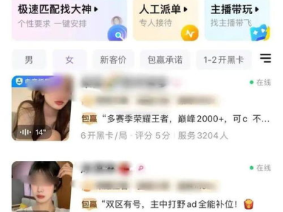 游戏线下陪玩服务网站,尽享线下陪玩服务新体验