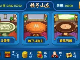 赖子游戏,智慧与策略的竞技场