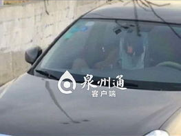 车震门 小游戏,揭秘激情四溢的激情瞬间