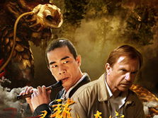 电影寻龙夺宝,惊险探险，揭秘千年宝藏之谜