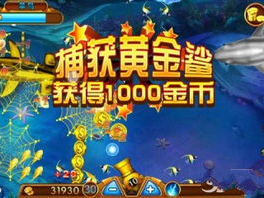 单机的打鱼游戏,尽享捕鱼乐趣——单机打鱼游戏深度体验