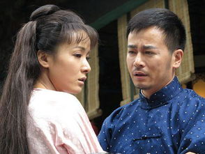 妇道 电视剧,千年家国情怀的传承与变迁