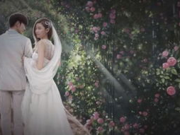 韩剧婚礼国语版全集,爱情与现实的交织，一场跨越时空的浪漫之旅