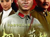 电视剧桐柏英雄全集,烽火岁月里的英雄传奇