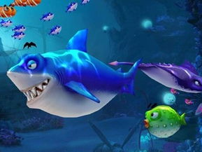 2025最火的捕鱼游戏,畅游深海，尽享捕鱼盛宴