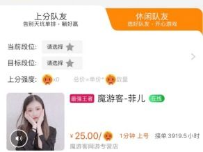 游戏陪练网,打造专业高效的游戏辅助平台