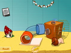 仓鼠乐园小游戏,欢乐冒险之旅