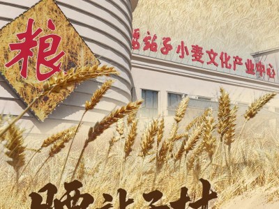 “见证新疆70年”系列微纪录片丨腰站子村硬了腰杆子