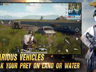 pubg下载安装免费,免费下载安装指南