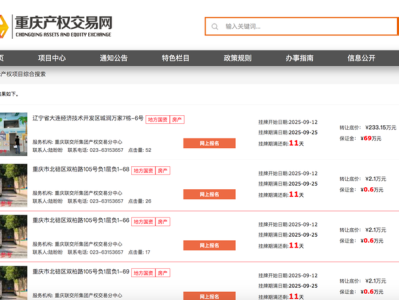 卖房、卖车位、卖车......西南证券挂牌“甩卖”逾70项抵债资产，券商资产处置潮持续